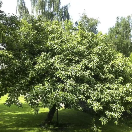 Le Rimamir Gite De Charme Au Bord De L'Ambleve Aywaille Exterior foto