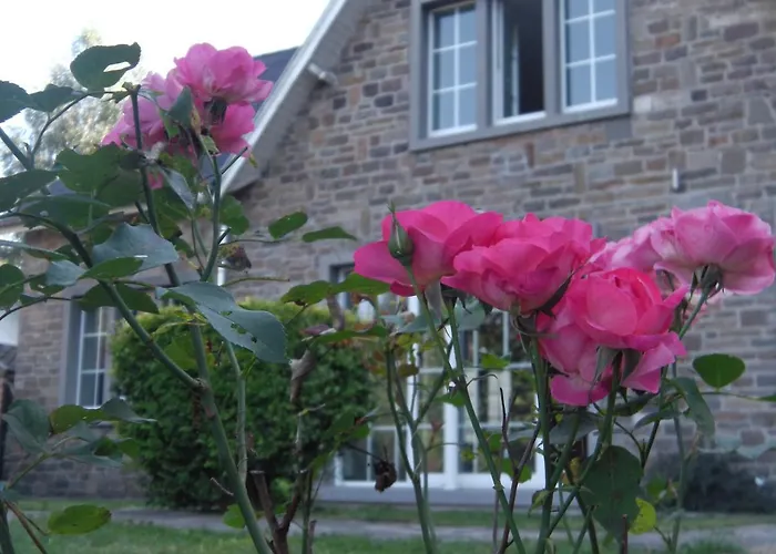 Le Rimamir Gite De Charme Au Bord De L\'Ambleve